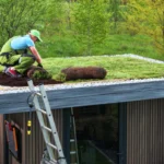 professional-gardener-building-sedum-green-roof-on-2023-05-16-02-09-46-utc