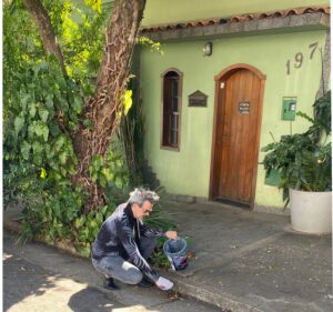 Sem título-1