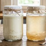 kefir1